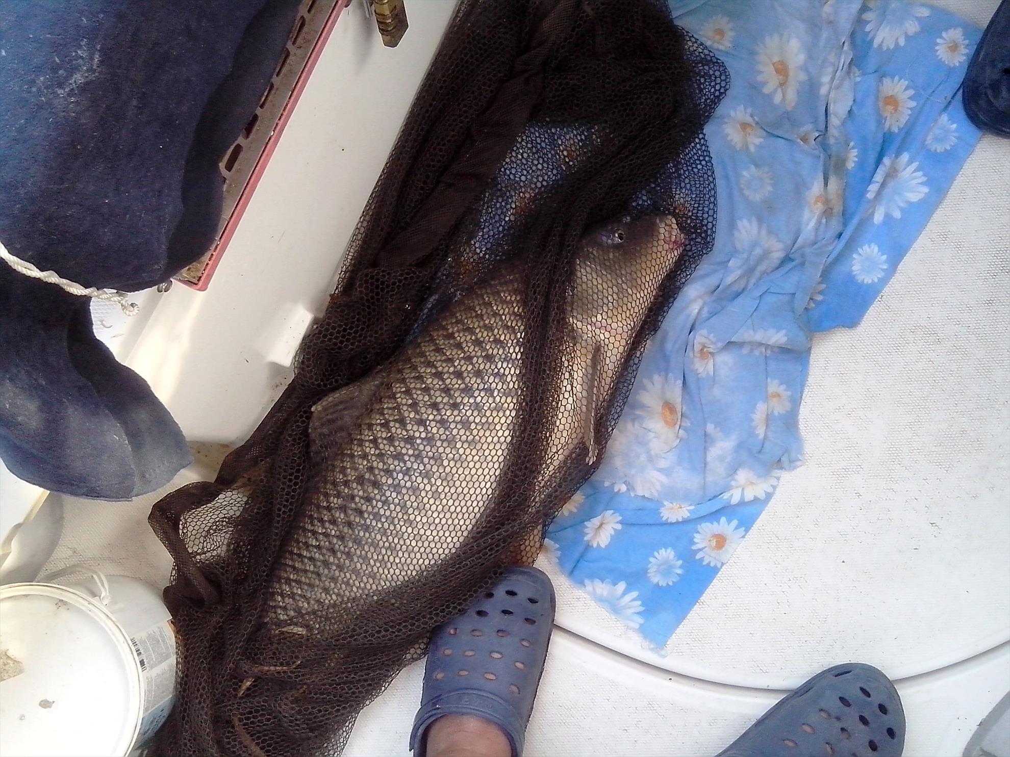 Sulina septembrie 2014 - img20140922161508.jpg